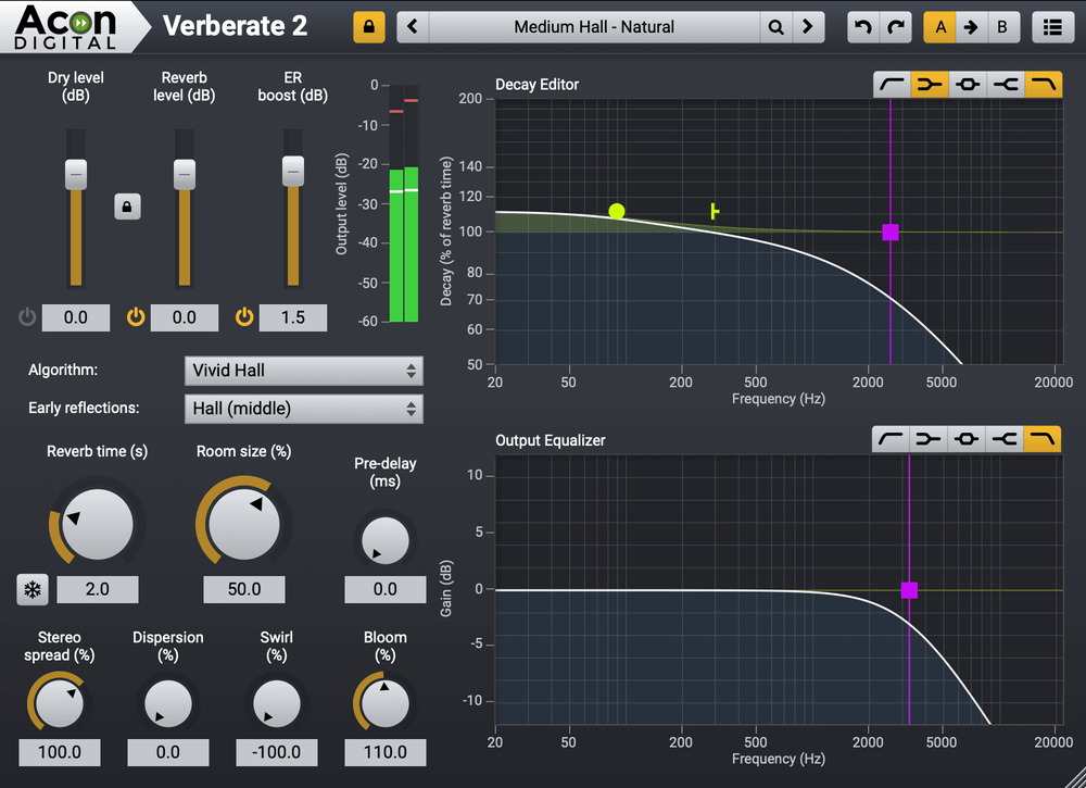 Acon Digital - Verberate 2